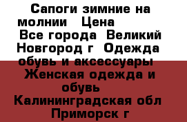 Сапоги зимние на молнии › Цена ­ 5 900 - Все города, Великий Новгород г. Одежда, обувь и аксессуары » Женская одежда и обувь   . Калининградская обл.,Приморск г.